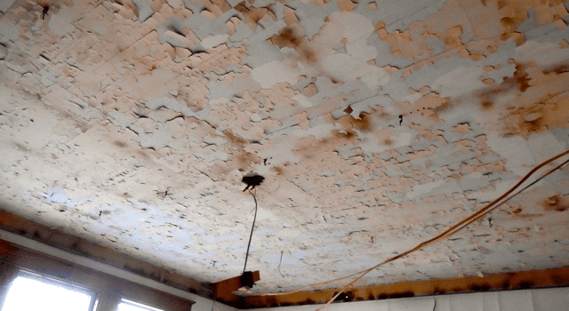 The problem for Maine kids that won’t go away: lead paint poisoning