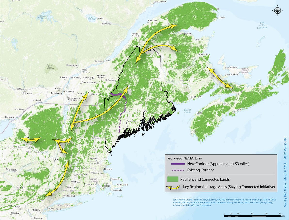 The northern Appalachian region, which includes the mountains of western Maine, has nationally significant climate-resilient and connected forest ecosystems (shown in green) that lie along key migratory corridors (noted by arrows) and could provide refuge for species as the climate changes. The proposed transmission corridor (see legend) would permanently bisect and fragment those contiguous forests. TNC map, used with permission.