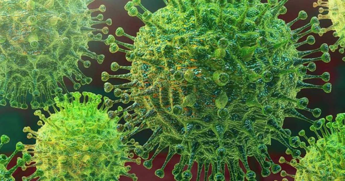 Coronavirus in Maine: Daily Headlines