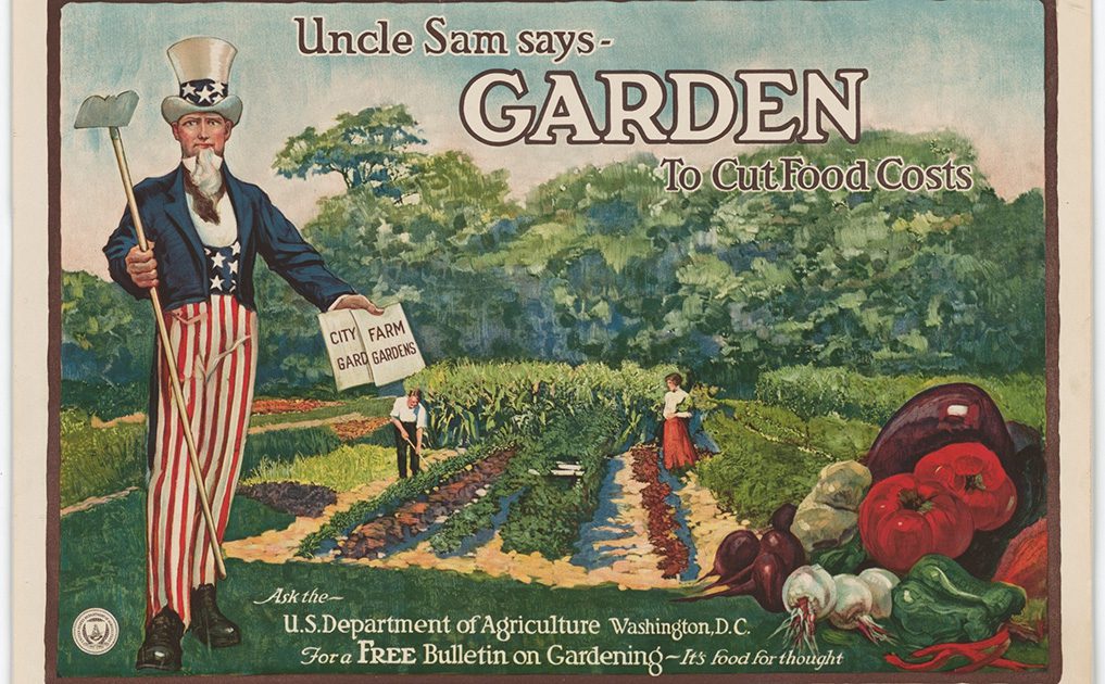 ‘This time is different’: Growing an enduring culture of gardening