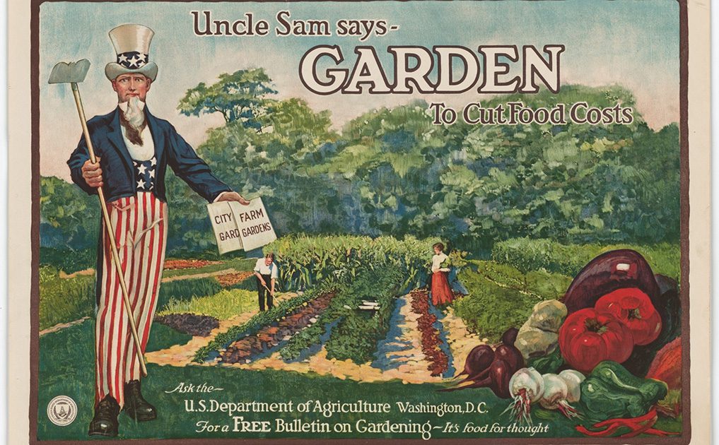 Sea Change: ‘This time is different’ – Growing an enduring culture of gardening