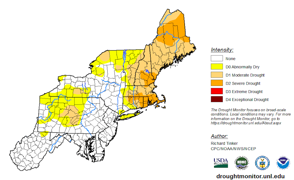 Environmental Notebook: Drought conditions in Maine have led to over 900 wildfires this summer