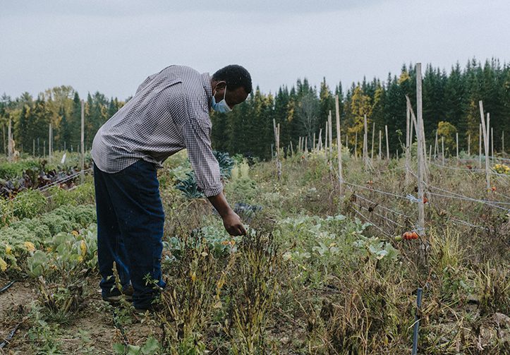 Farming helps reduce food insecurity among Somali Bantu community in Lewiston-Auburn