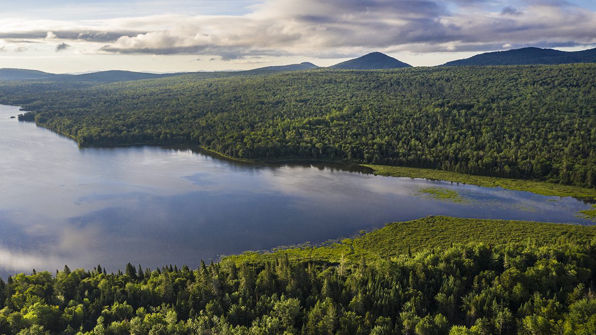 Environmental experts push back on Canadian company’s plans to mine for metal in Maine