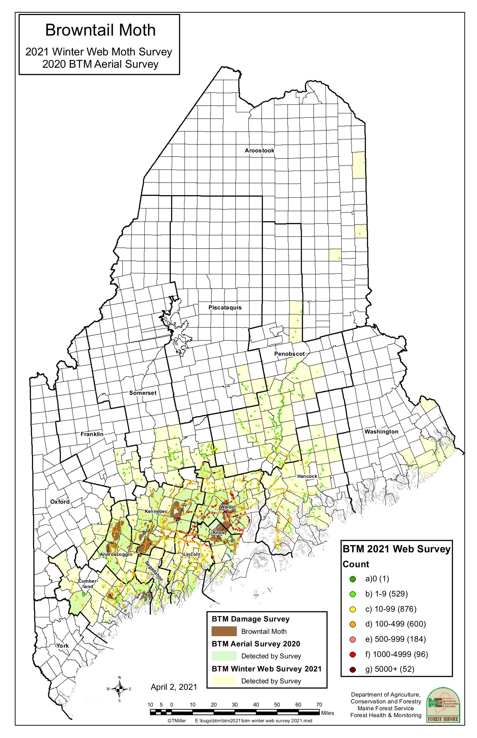browntail moth survey