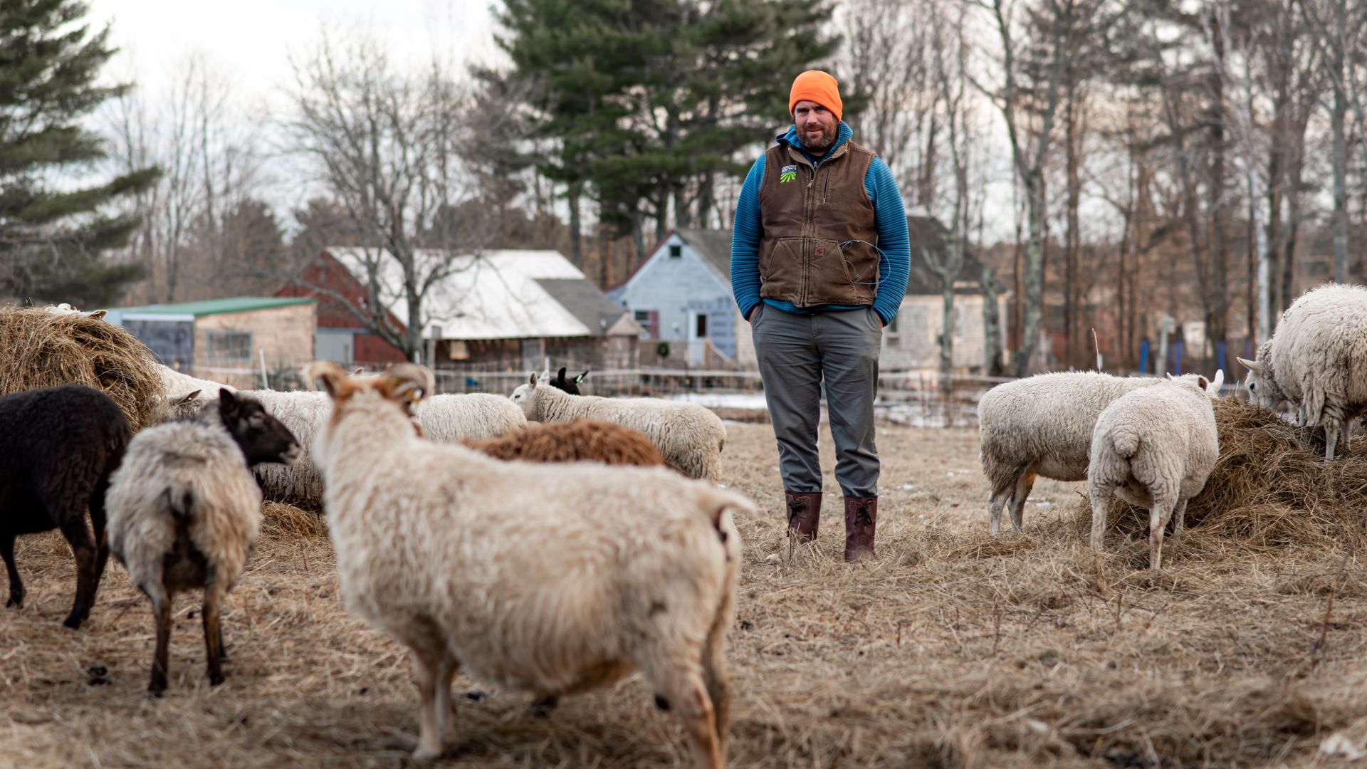 Maine’s prime farmland is being lost to solar. Is ‘dual use’ the answer?