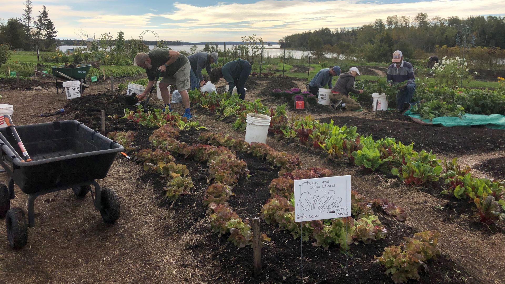 Gardening our way to greater community resilience