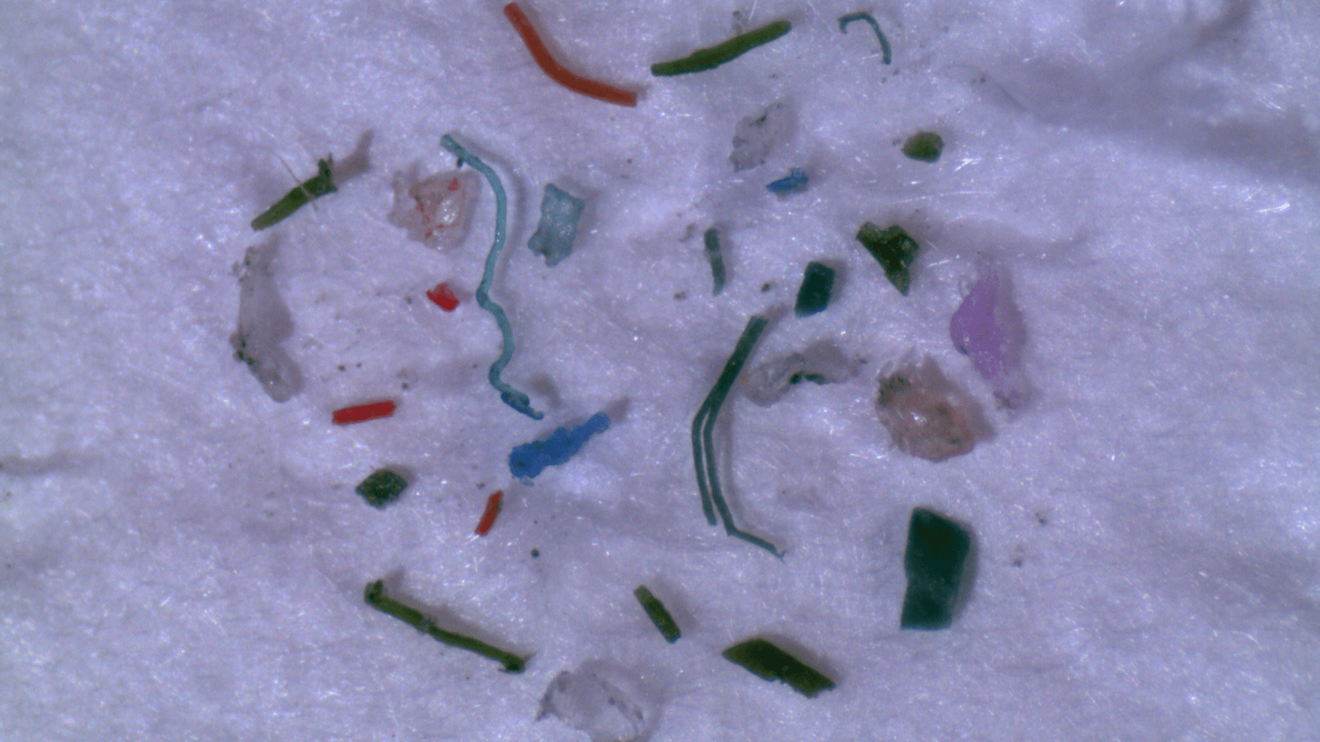 Microplastics: A vast but barely visible problem