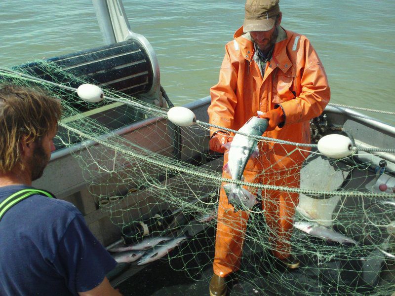 Four Maine fish farms continue to wade through regulatory process