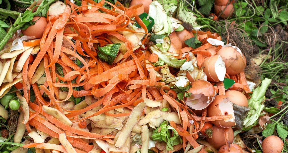 Maine needs to do better about how much waste we produce