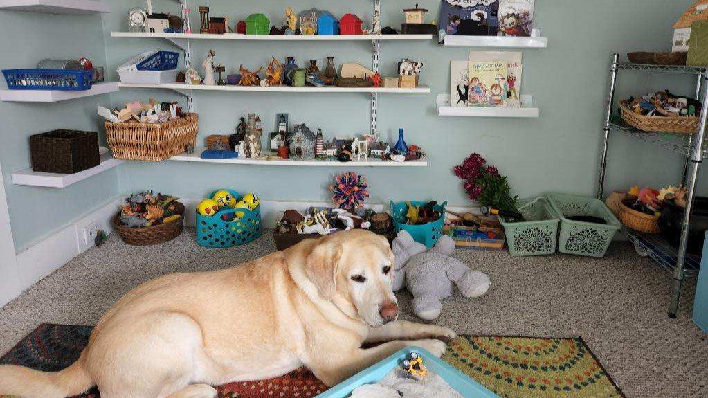 A light brown dog lays on the floor of a social worker's office that has shelves filled with a variety of toys for young patients.