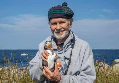 Steve Kress poses for a photo by the ocean while holding a small puffin in his hands. 